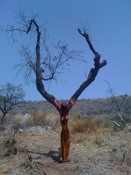 prachtige boom bewerkt met een kettingzaag door niel!