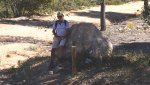 1604887 gieren wandeling