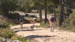 1604904 gieren wandeling