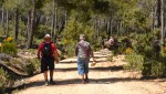1604910 gieren wandeling