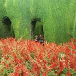 22780617_1705708509448526_2630498227273514343_n