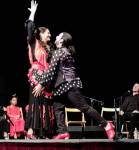 WhatsApp Image 2019-04-18 at&nbsp;09.58.24(2)