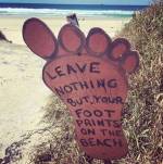 62353655_2288964484765477_5592900670479925248_n