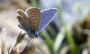 FB_IMG_1586026320784