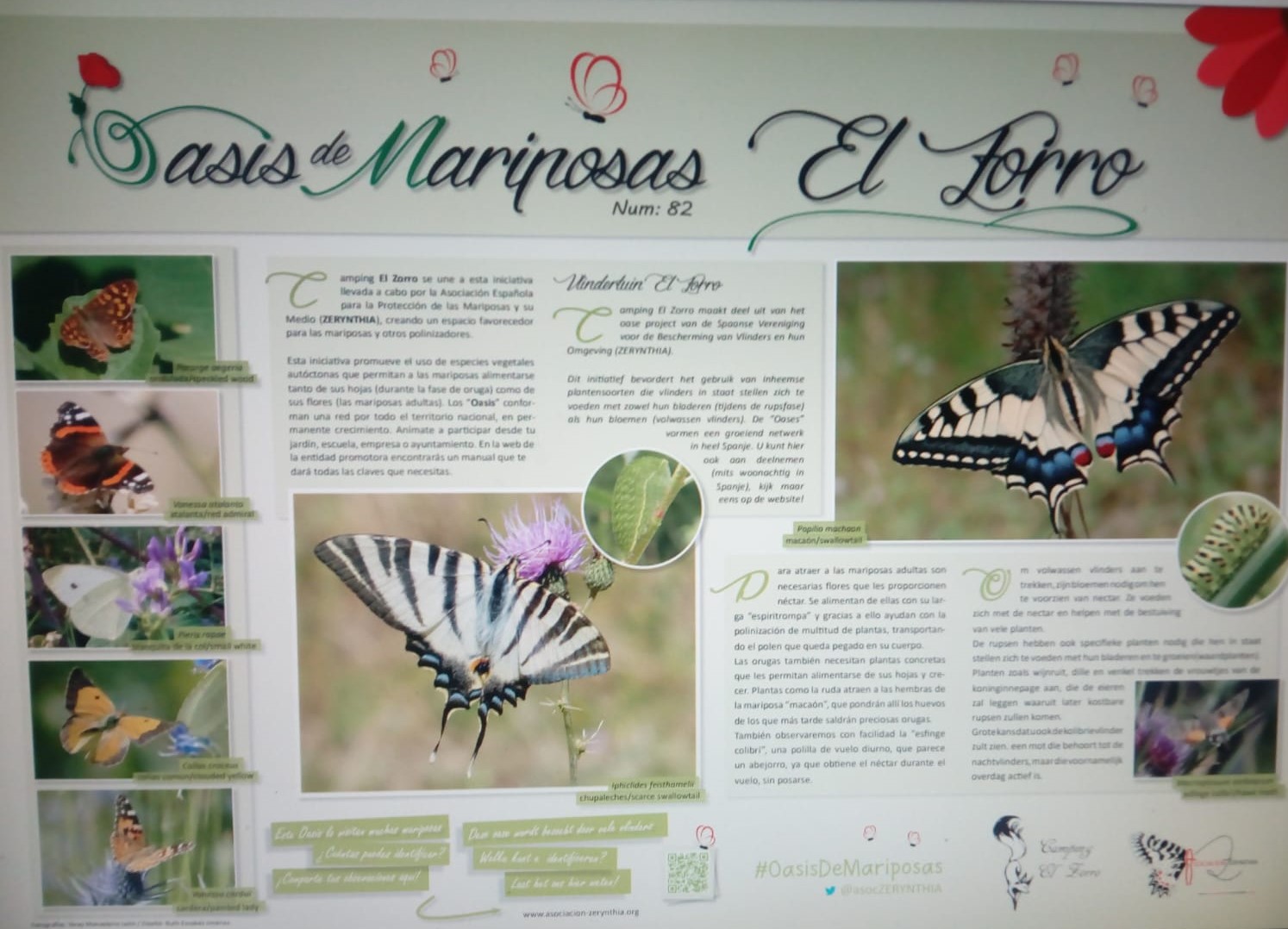 vlindertuin voor facebook