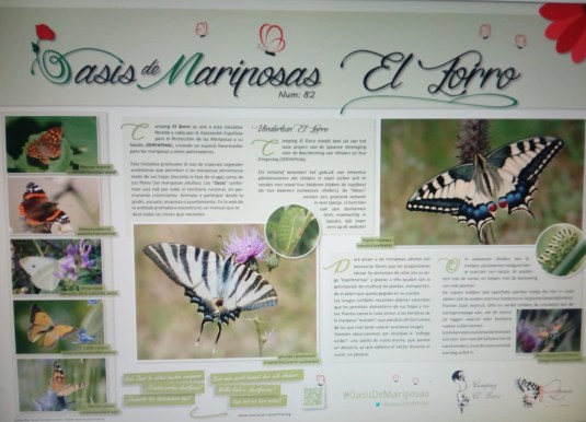 vlindertuin voor facebook